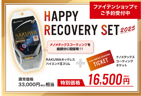 磁気ﾈｯｸﾚｽ2本ｾｯﾄ ファイテンネックレスセット